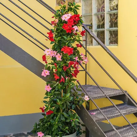 Apartment Ciraccio