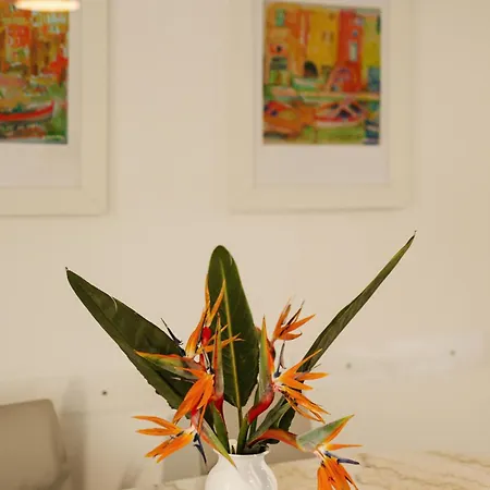 Ciraccio Apartment *